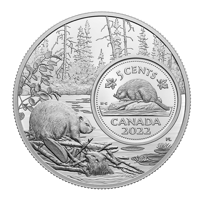 Image for 5 oz Silver Coin The Bigger Picture: Beaver from TD Precious Metals